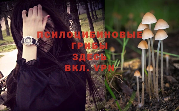 прущий лед Арсеньев